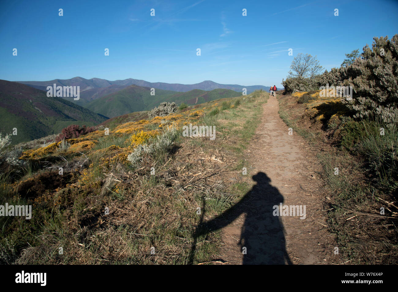 Schatten einer Pilgerreise auf dem Camino Frances, der Jakobsweg zwischen Villafranca Montes de Oca und Burgos, Kastilien und León, Spanien. Stockfoto