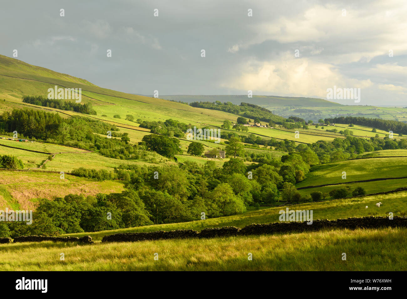 Lange - Abstand malerischen Abend Blick auf Wharfedale (rollenden Wolken & Hügel, grüne Weide, sonnendurchfluteten Tal) - beamsley, Yorkshire Dales, England, UK. Stockfoto