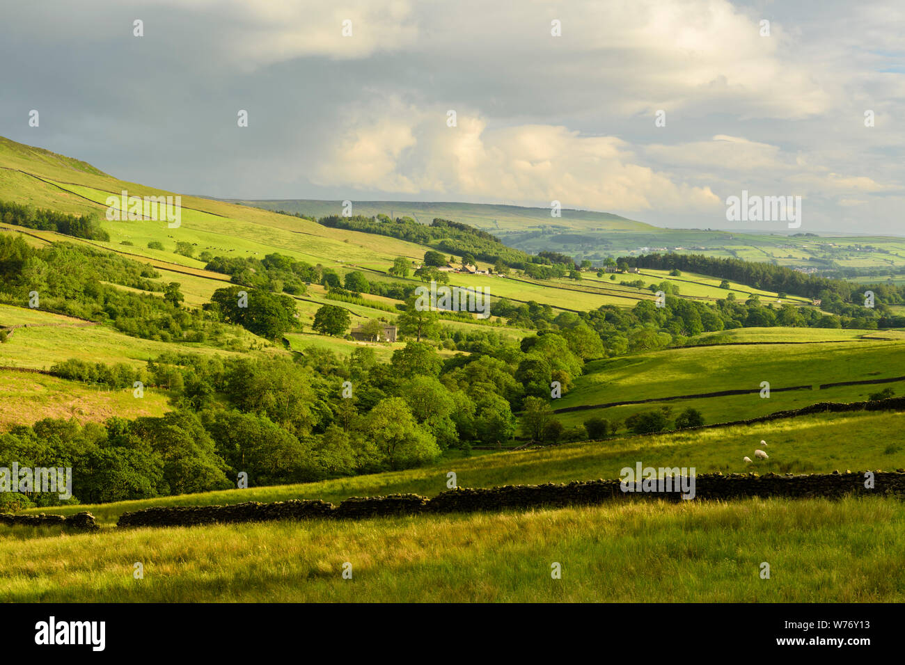 Lange - Abstand malerischen Abend Blick auf Wharfedale (rollenden Wolken & Hügel, grüne Weide, sonnendurchfluteten Tal) - beamsley, Yorkshire Dales, England, UK. Stockfoto