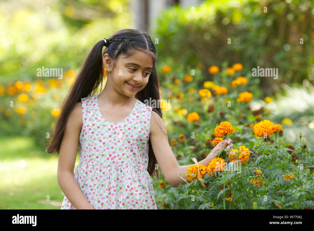 Mädchen, die Ringelblumeblume in einem park Stockfoto