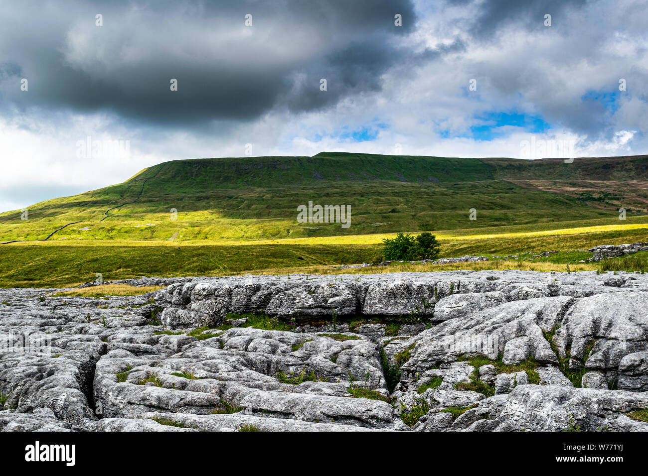 Kalkstein Pflaster. Yorkshire Dales National Park Stockfoto