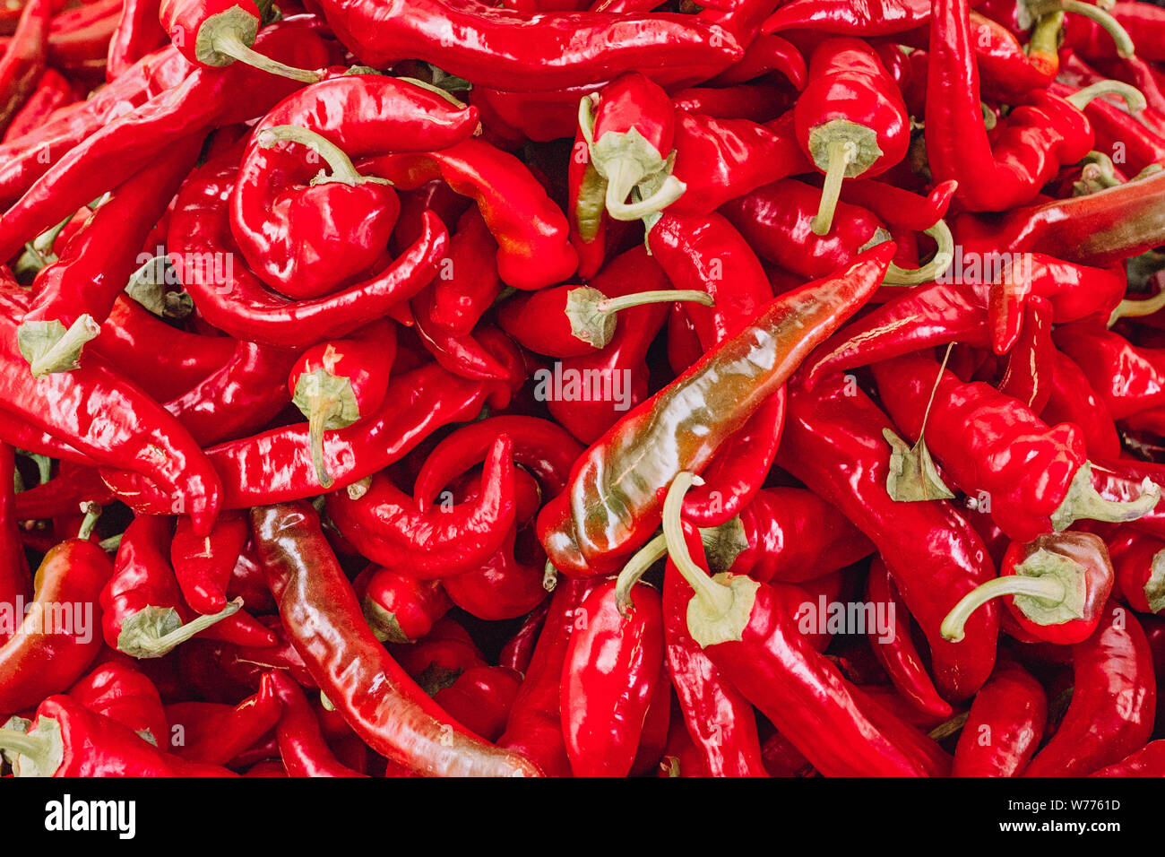 Rote Paprika Hintergrund Textur von hot chili Gewürzmischung feurig ein Teller zum Verkauf. Hintergrund von frischem Paprika chili closeup Stockfoto