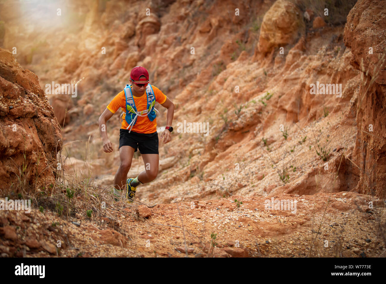 Ein Mann Runner von Trail. und des Athleten Füße tragen Sport Schuhe für Trail Running im Wald Stockfoto