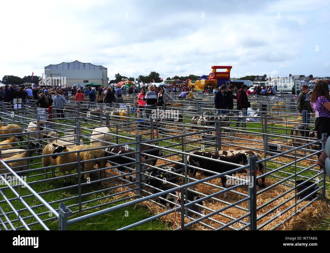 Stranraer, Schottland, Schafhürden am jährlichen zeigen, Juli 2019 Stockfoto