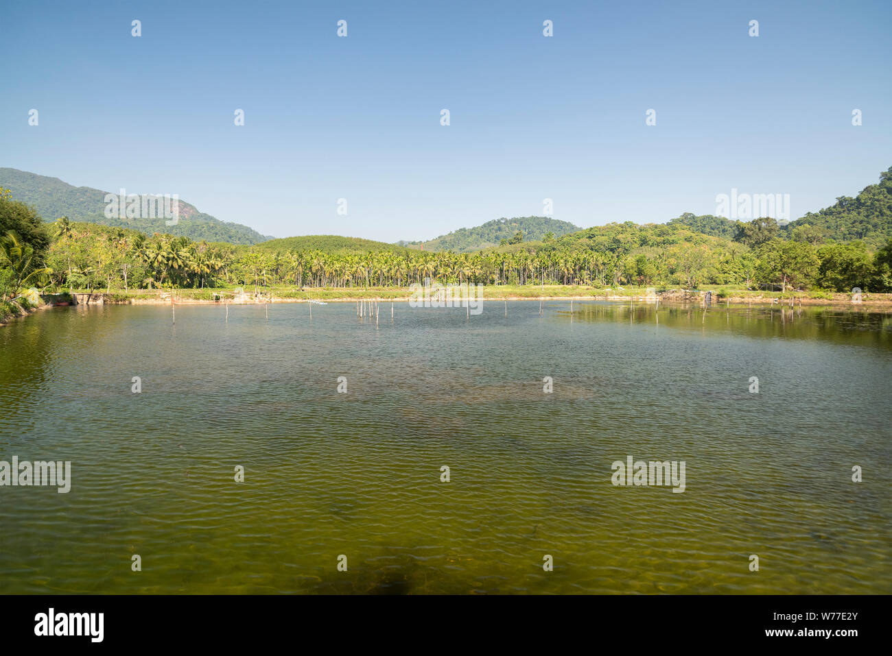 Kaff in der Nähe von Mangrovenwäldern. Thailand, Koh Chang Insel. Stockfoto