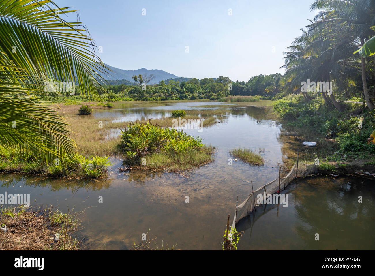 Kaff in der Nähe von Mangrovenwäldern. Thailand, Koh Chang Insel. Stockfoto