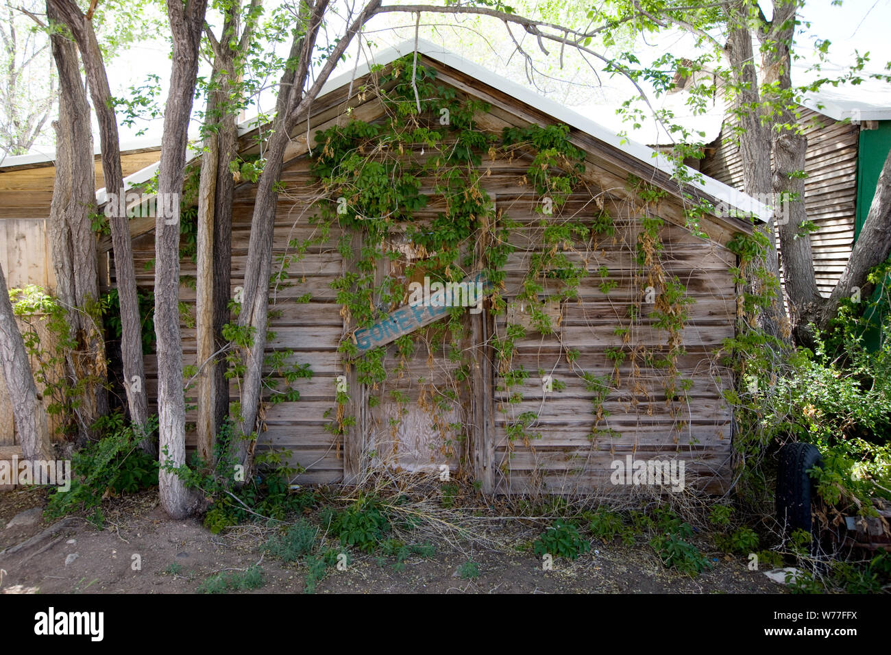 Angeln gegangen, alte Hütte, Seligman, Arizona, physische Beschreibung: 1 Foto: digital, TIFF-Datei, Farbe. Hinweise: Geschenk und kaufen; Carol M. Highsmith; 2009; (DLC/PP 2010: 031).; Stockfoto