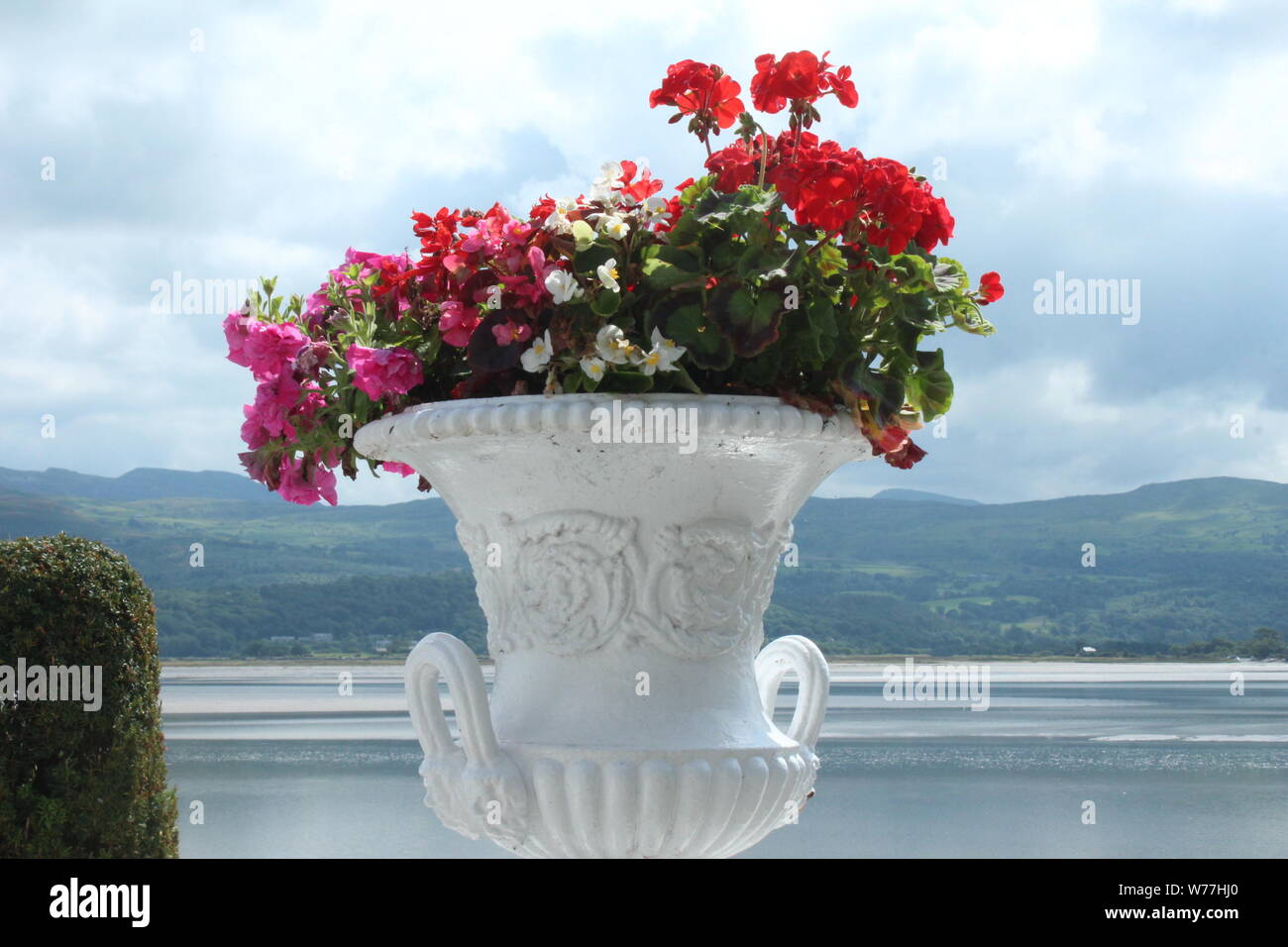 Bild von einem weißen Trophäe Vase mit roten, rosa, weiß und grün Blumen mit Berge und Wolken im Abstand gefüllt, an einem sonnigen Tag in Portmeirion Stockfoto
