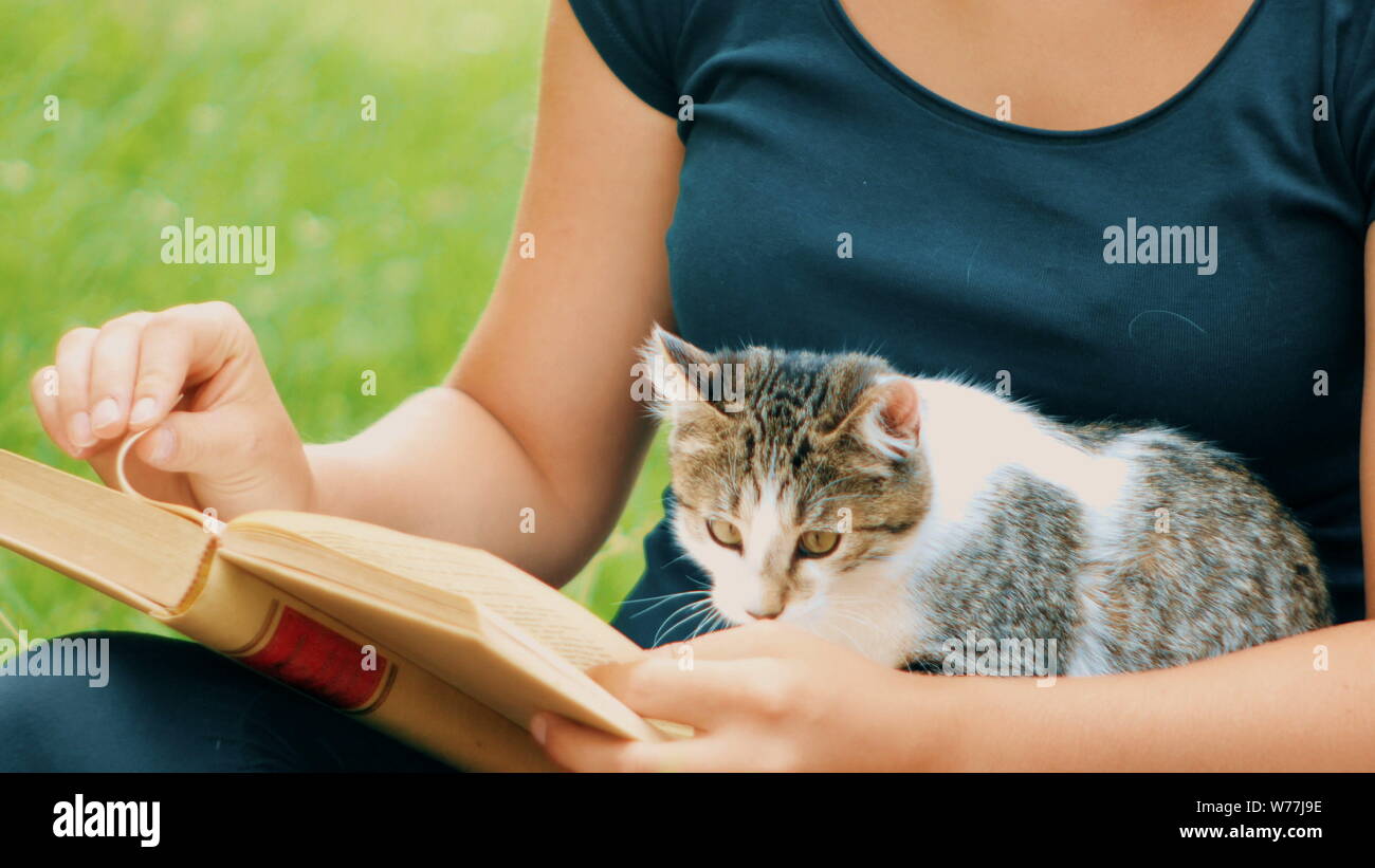 Mädchen detail liest ein Buch mit einem Kätzchen spielen mit Seiten des Buches Stockfoto
