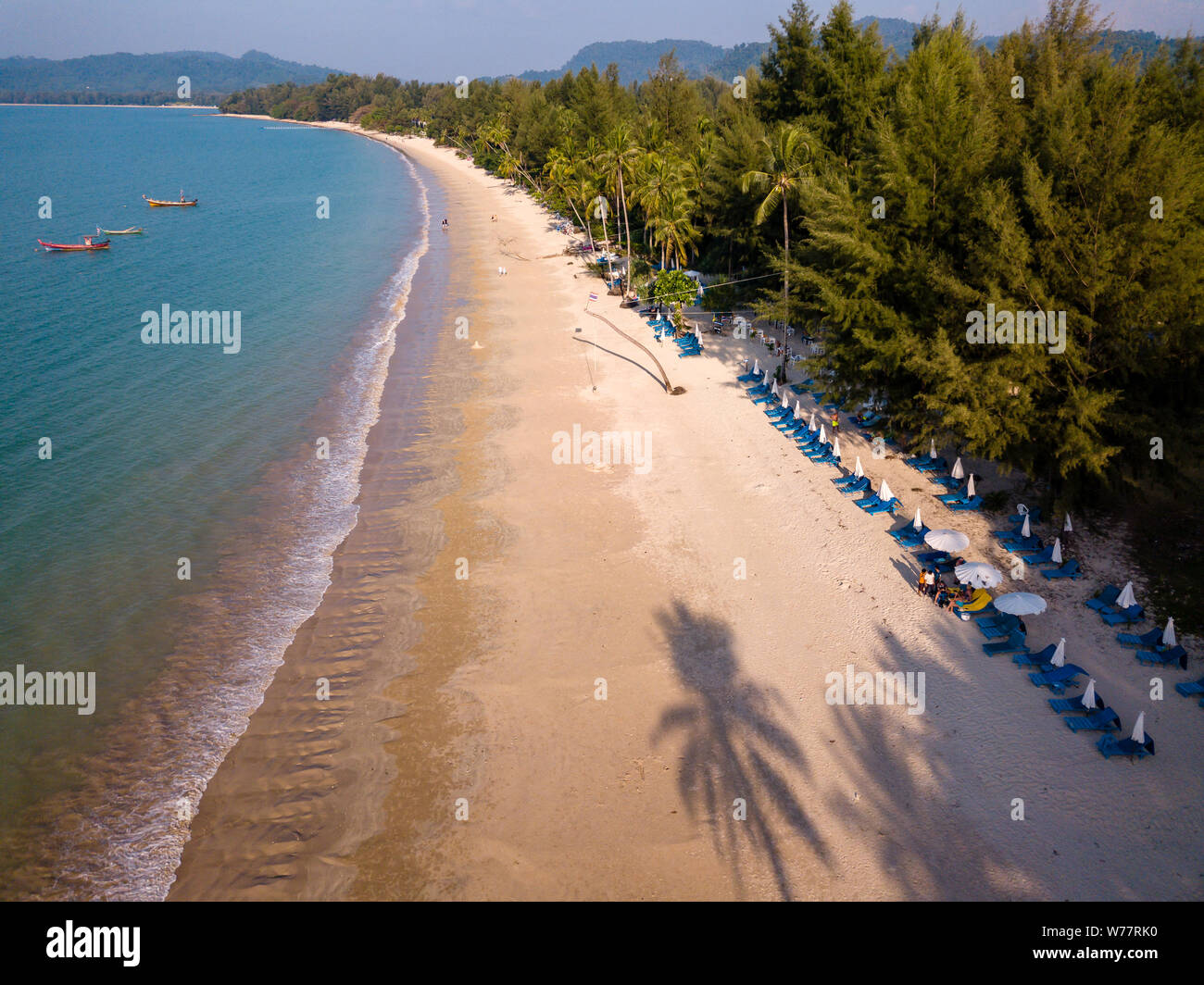 Antenne drone Ansicht einer Palme, warf einen langen Schatten auf einem großen, einsamen Sandstrand Stockfoto