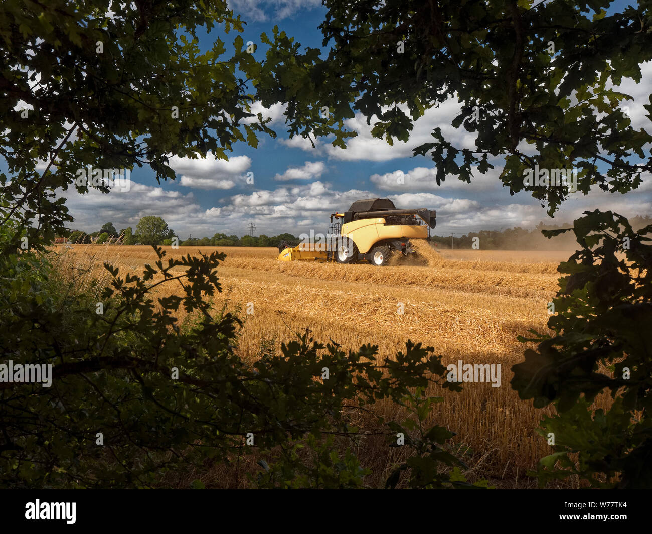 Mähdrescher arbeitet in einer Oxfordshire Weizenfeld Stockfoto
