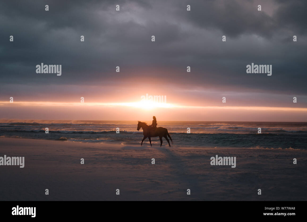 Silhouette der Reiter auf einem Pferd bei Sonnenuntergang am Strand. Frau Reiten am Meer bei Sonnenuntergang. Stockfoto