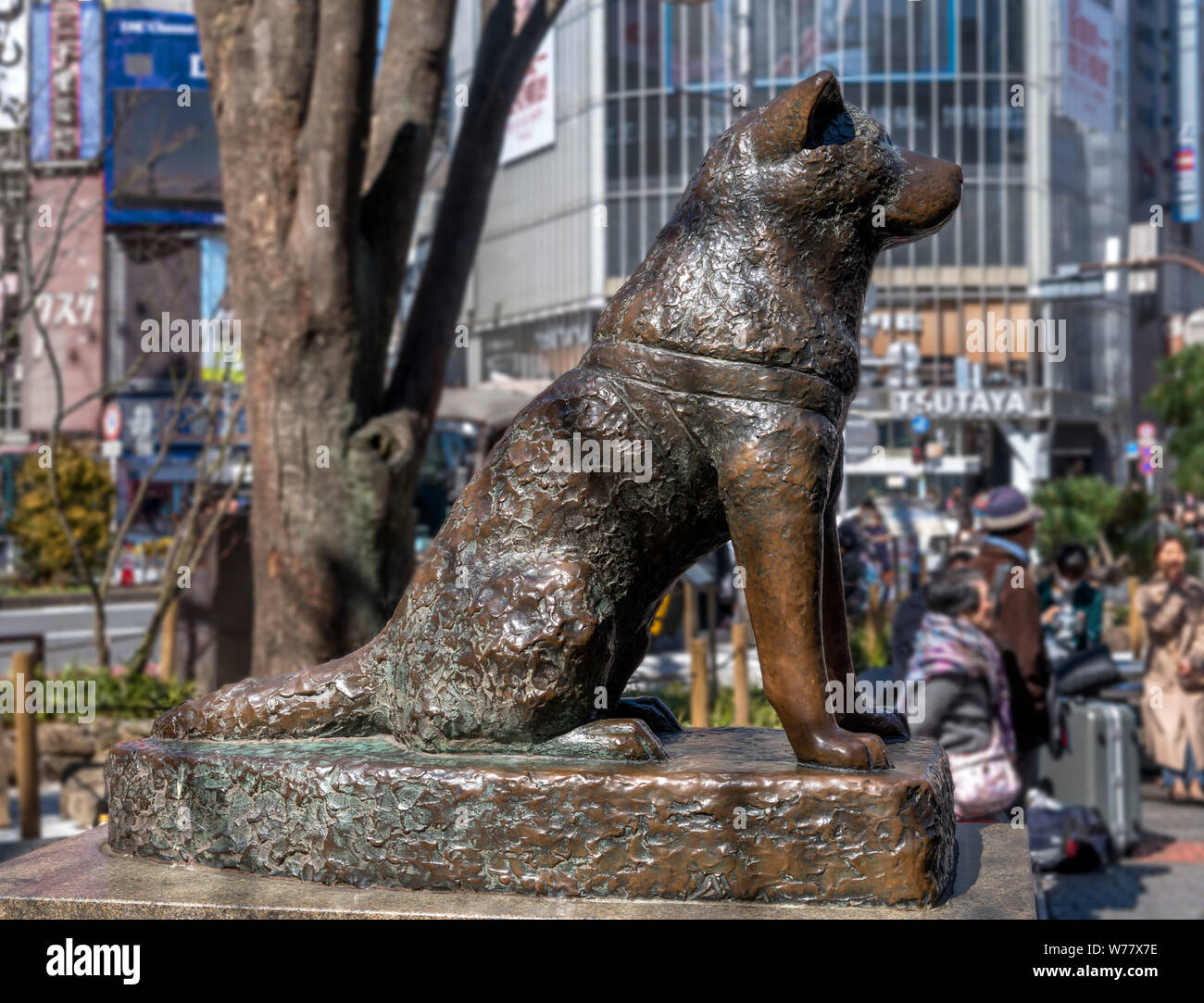Hachiko Memorial Statue außerhalb vom Bahnhof Shibuya in Hachiko Square, Shibuya, Tokio, Japan. Stockfoto