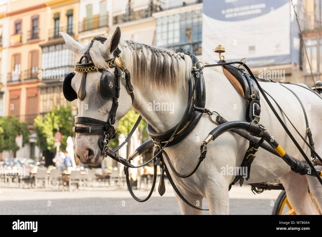 Eine touristische Pferd und Wagen auf der Straße in Sevilla, Spanien, bereit, Touristen auf einer Kutsche Reise die Stadt zu tragen. Stockfoto