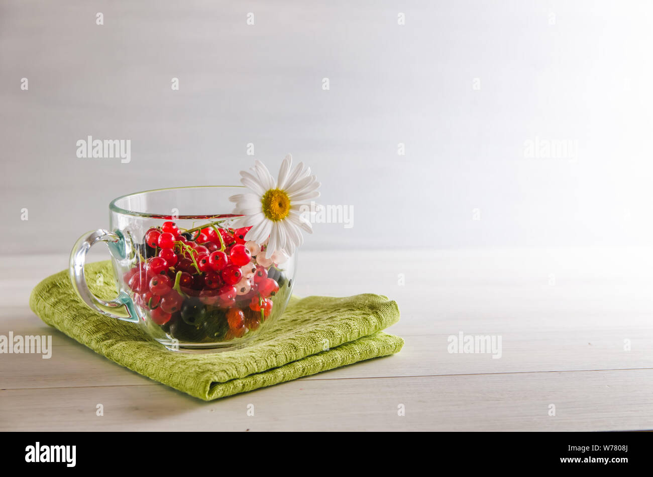 Frische bunte Johannisbeere Beeren in einem Becher auf weißem Hintergrund mit Kopie Raum Stockfoto