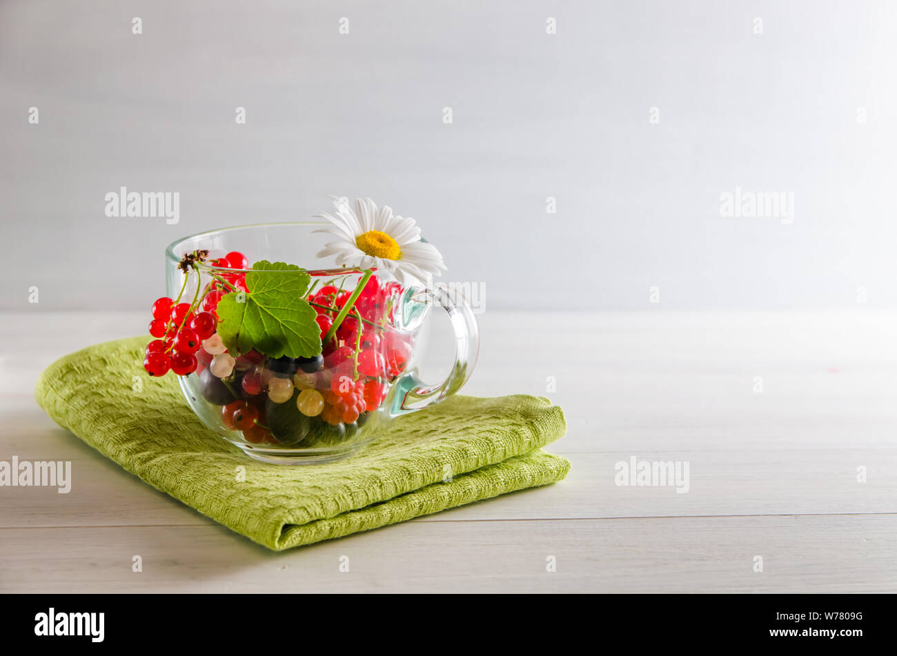 Frische bunte Johannisbeere Beeren in einem Becher auf weißem Hintergrund mit Kopie Raum Stockfoto