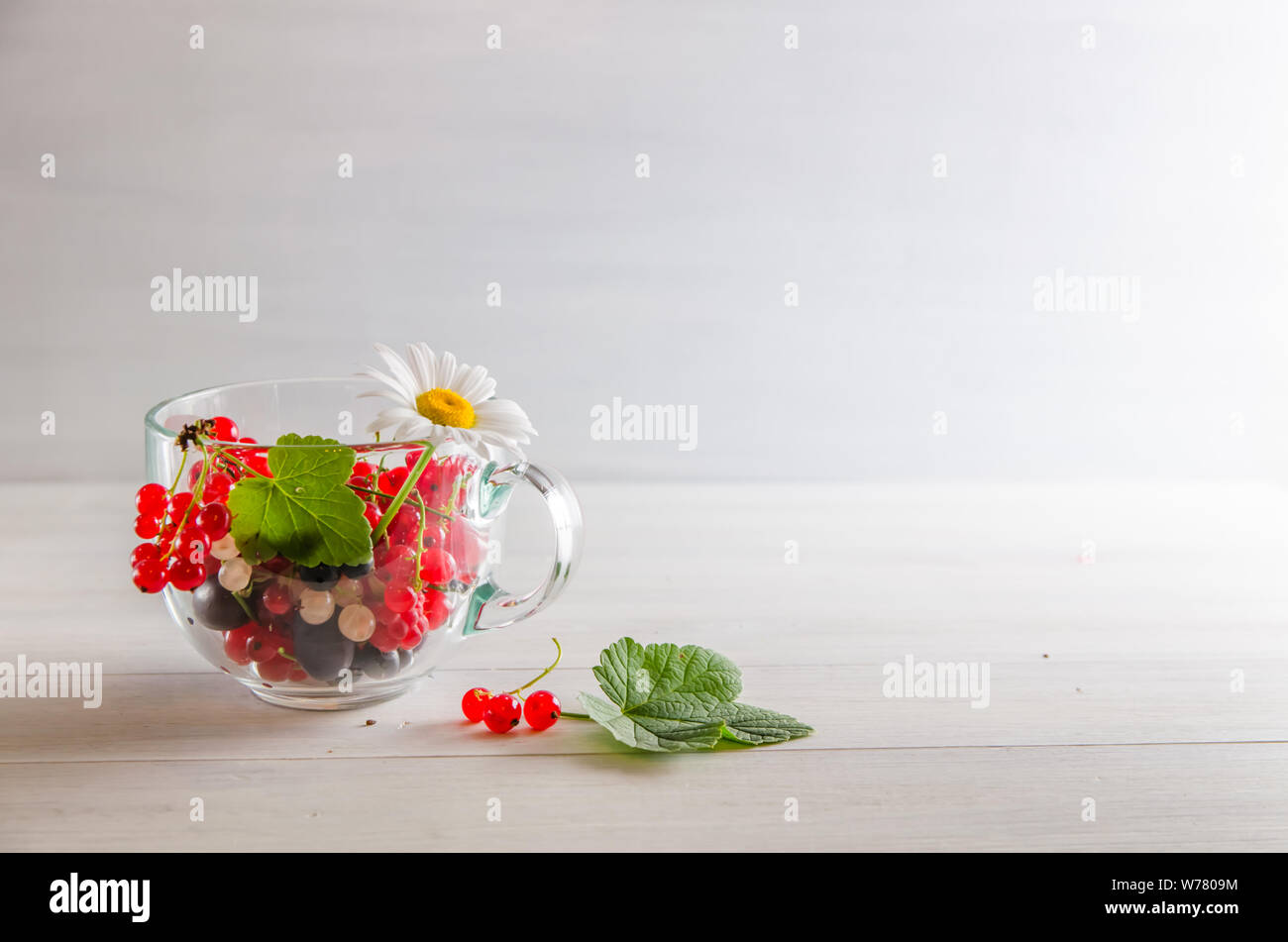 Frische bunte Johannisbeere Beeren in einem Becher auf weißem Hintergrund mit Kopie Raum Stockfoto