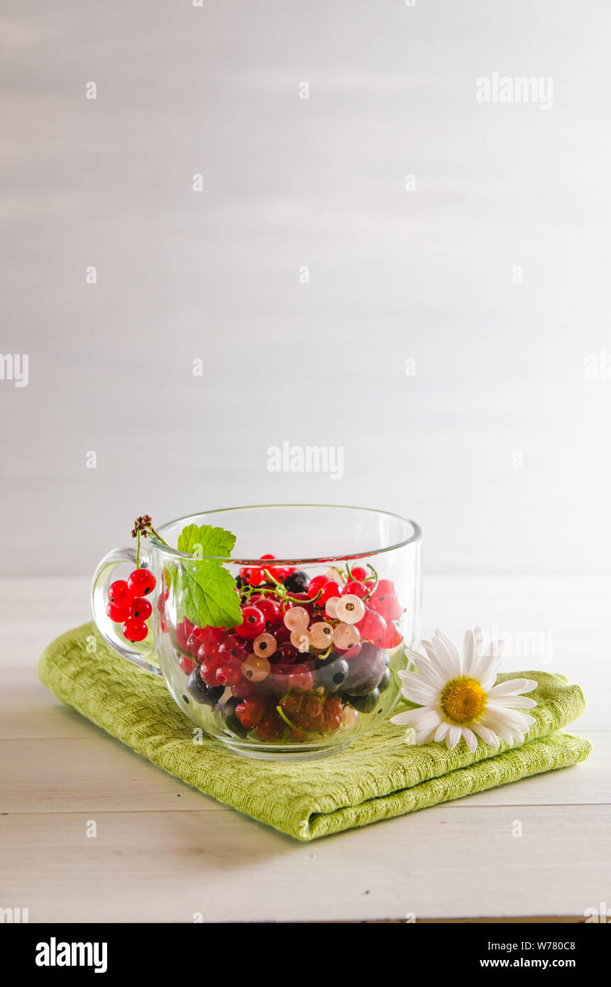 Frische bunte Johannisbeere Beeren in einem Becher auf weißem Hintergrund mit Kopie Raum Stockfoto