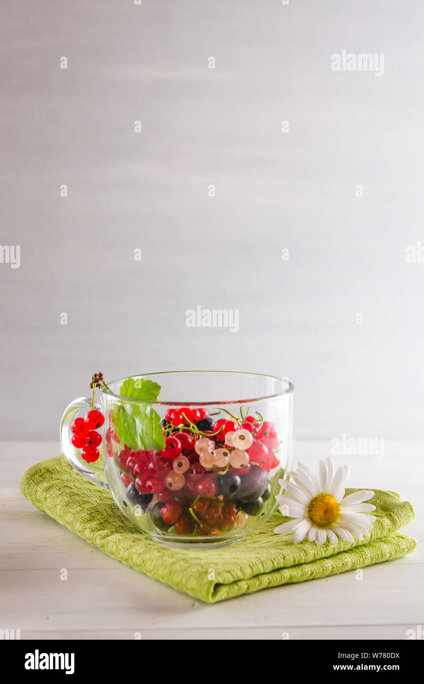 Frische bunte Johannisbeere Beeren in einem Becher auf weißem Hintergrund mit Kopie Raum Stockfoto