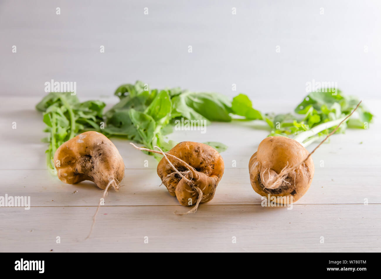 Hässliche Rettich Essen auf weißem Hintergrund Stockfoto