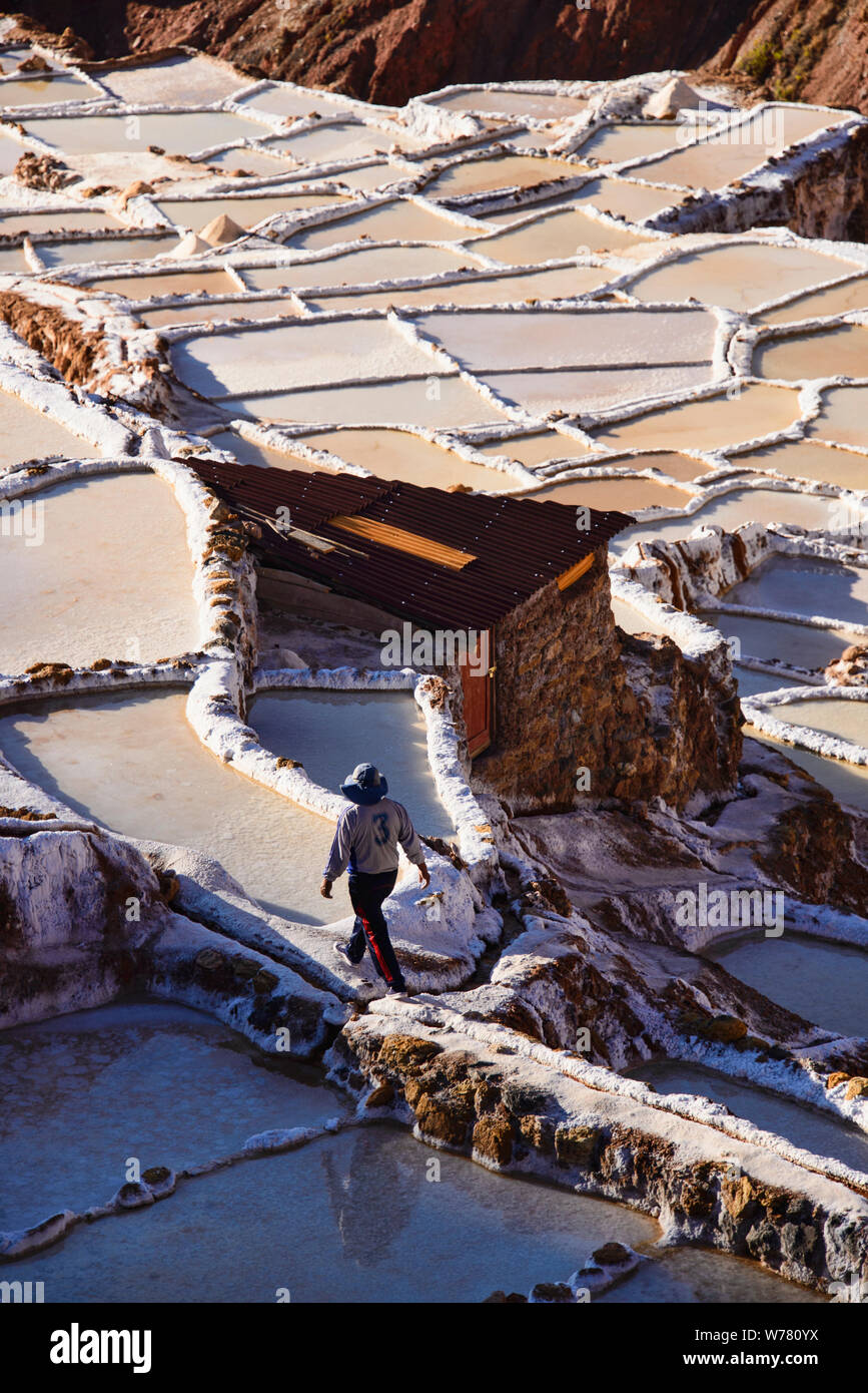 Arbeiter an der Salinen von Maras, das Heilige Tal, Peru Stockfoto