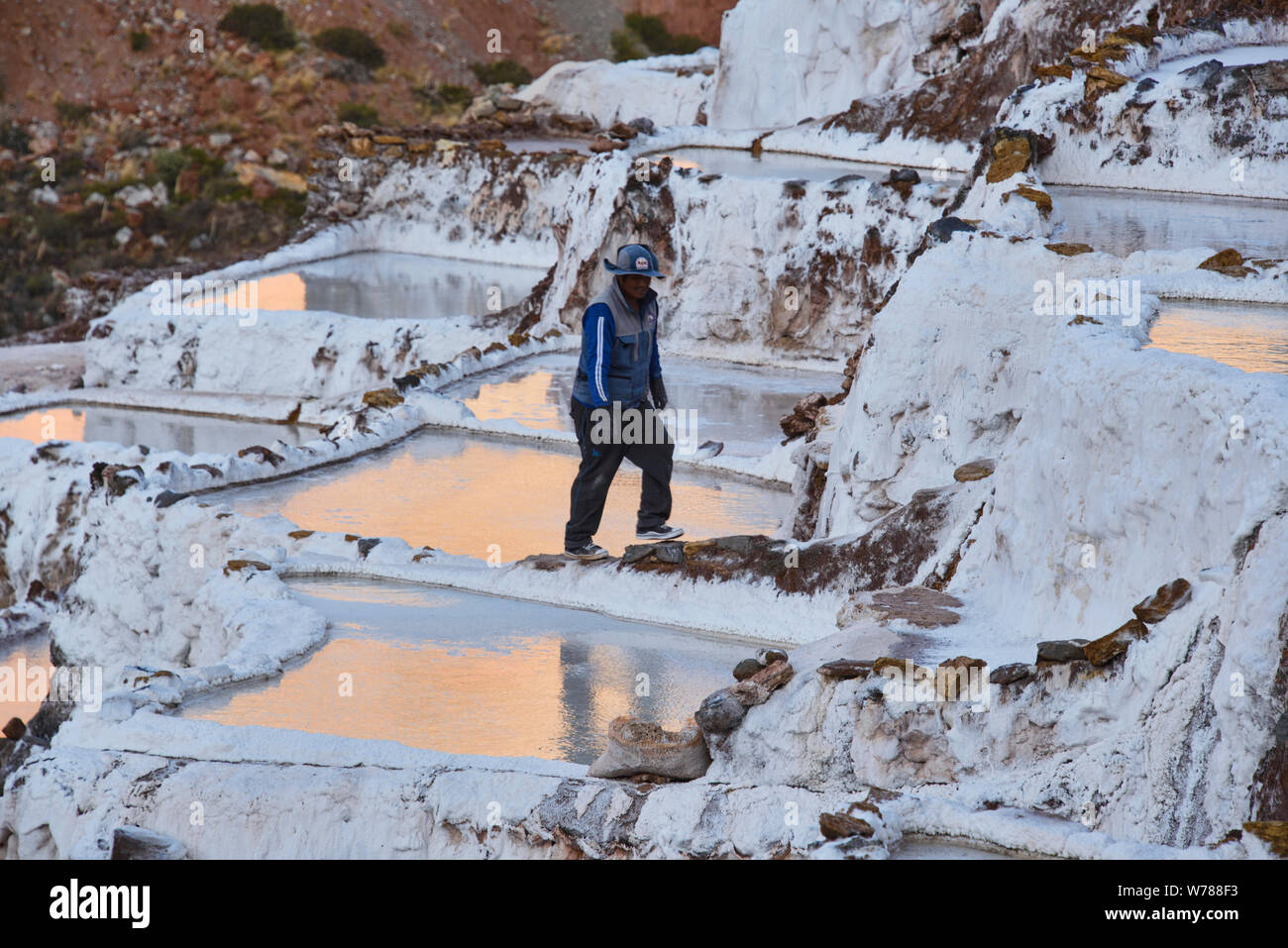Arbeiter an der Salinen von Maras, das Heilige Tal, Peru Stockfoto