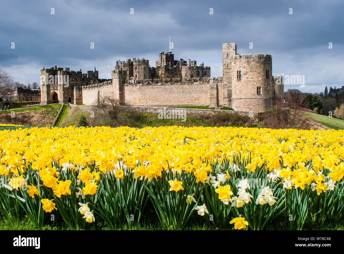 Alnwick Castle Stockfoto