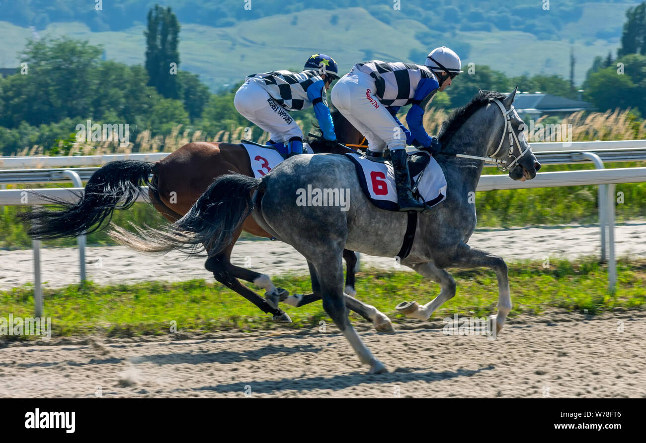 Pferderennen in Pyatigorsk, nördlichen Kaukasus, Russland. Stockfoto