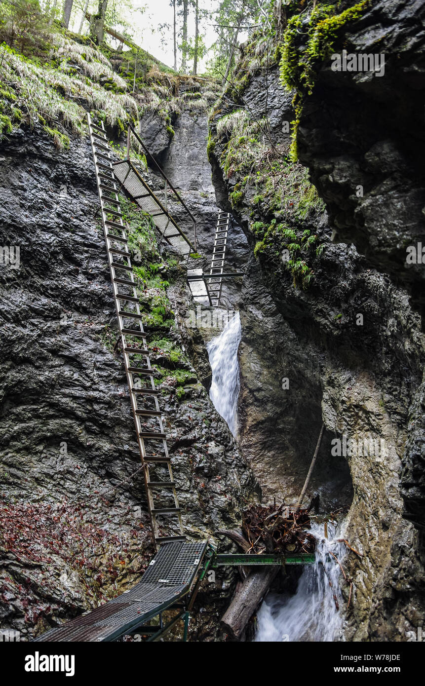 Gefährliche Spur über Wasserfall (Klettersteig), Slowakische Paradies Nationalpark, Slowakei Stockfoto