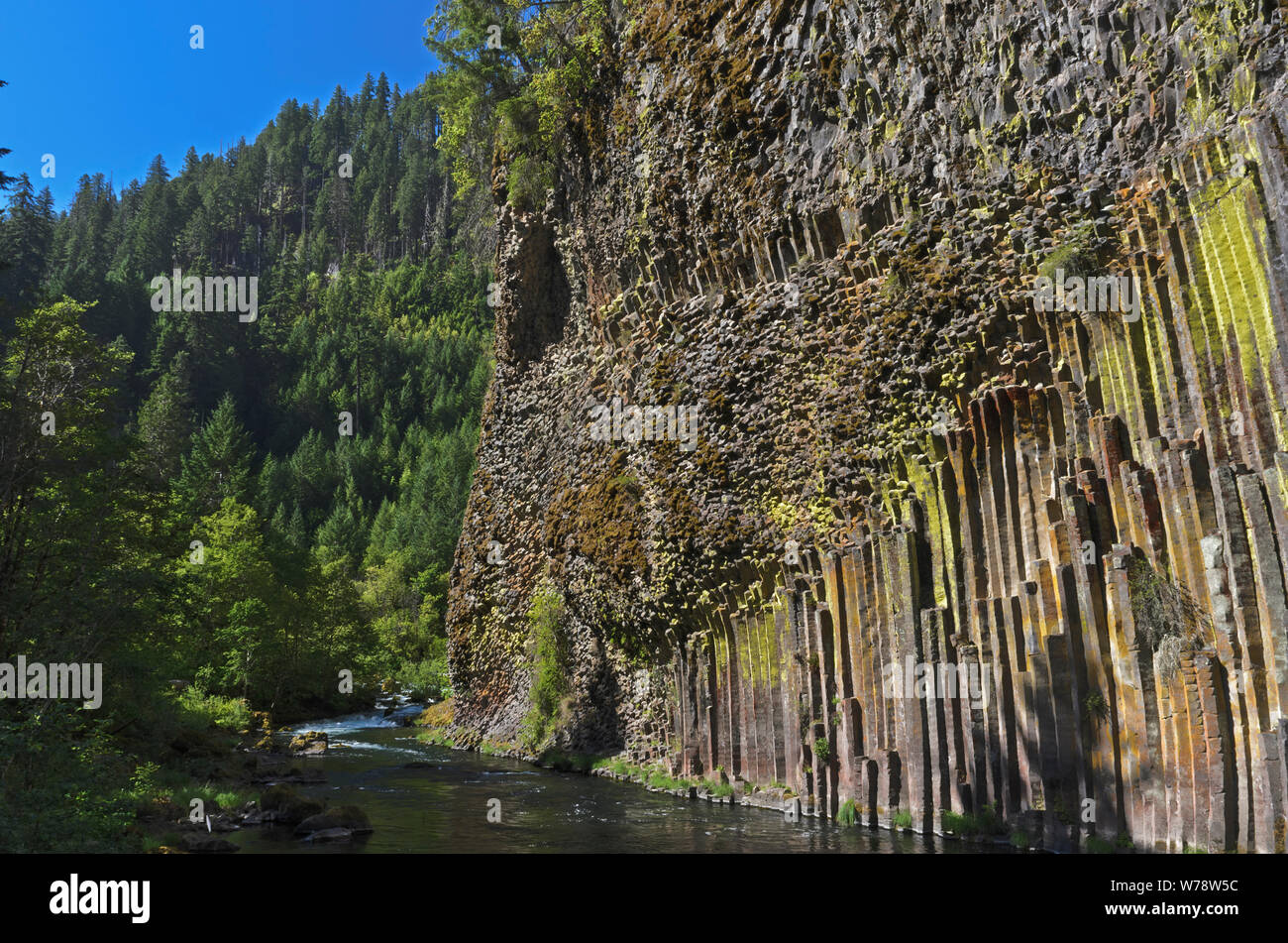 Oder: Douglas County, Cascades, Soda Springs Basaltsäulen. Der Norden Umpqua River verläuft unter einem Felsen aus Basaltsäulen Stockfoto