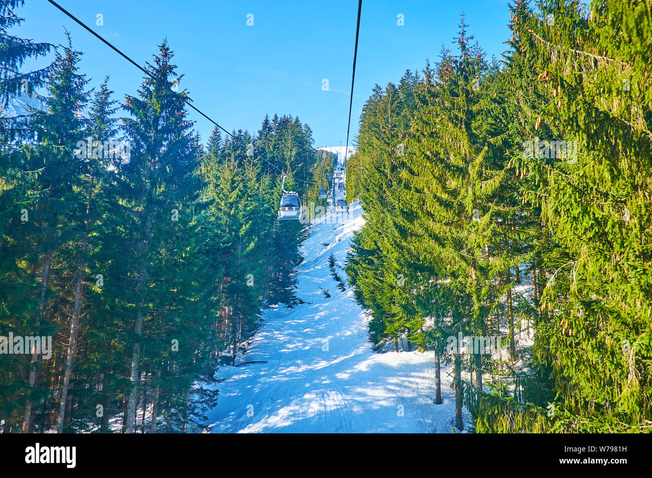 Schöne Seilbahn Reise mit einem Blick auf die Zwieselalm Berghang, Nadelwald und perfekte Pisten, Gosau, Salzkammergut, Österreich Stockfoto
