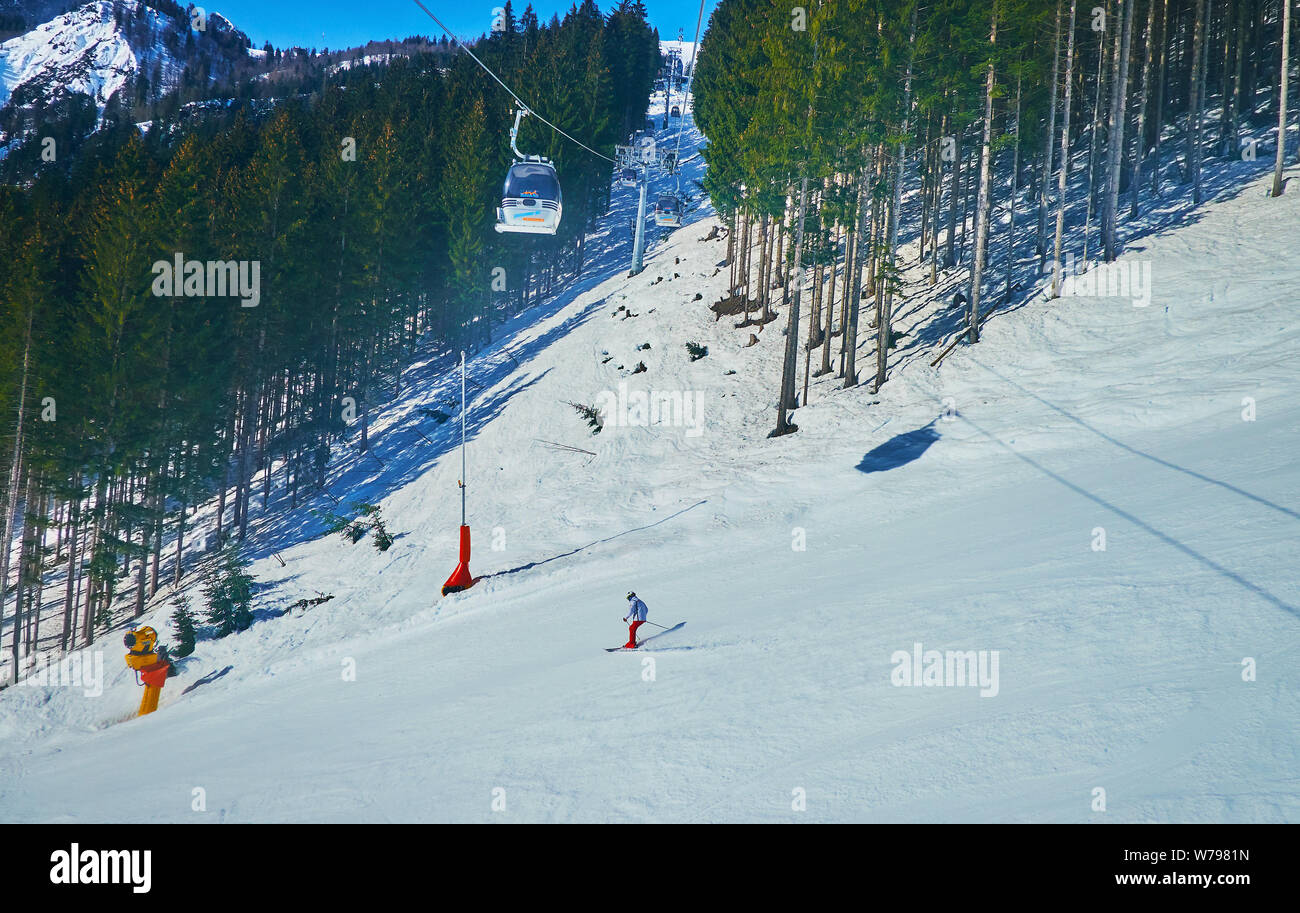 GOSAU, Österreich - Februar 26, 2019: Panorama Jet Zwieselalm Seilbahn verläuft entlang der schneebedeckten Hang, von hohen Pinien umgeben und bedeckt mit Perfe Stockfoto