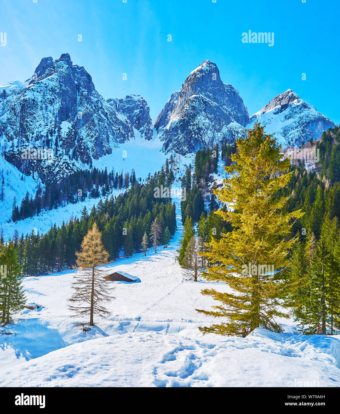 Die verschneite Tal um Gosausee mit Blick auf üppigen Nadelwäldern und Donnerkogl Berge der Alpen, Dachstein West Gosau, Österreich Stockfoto