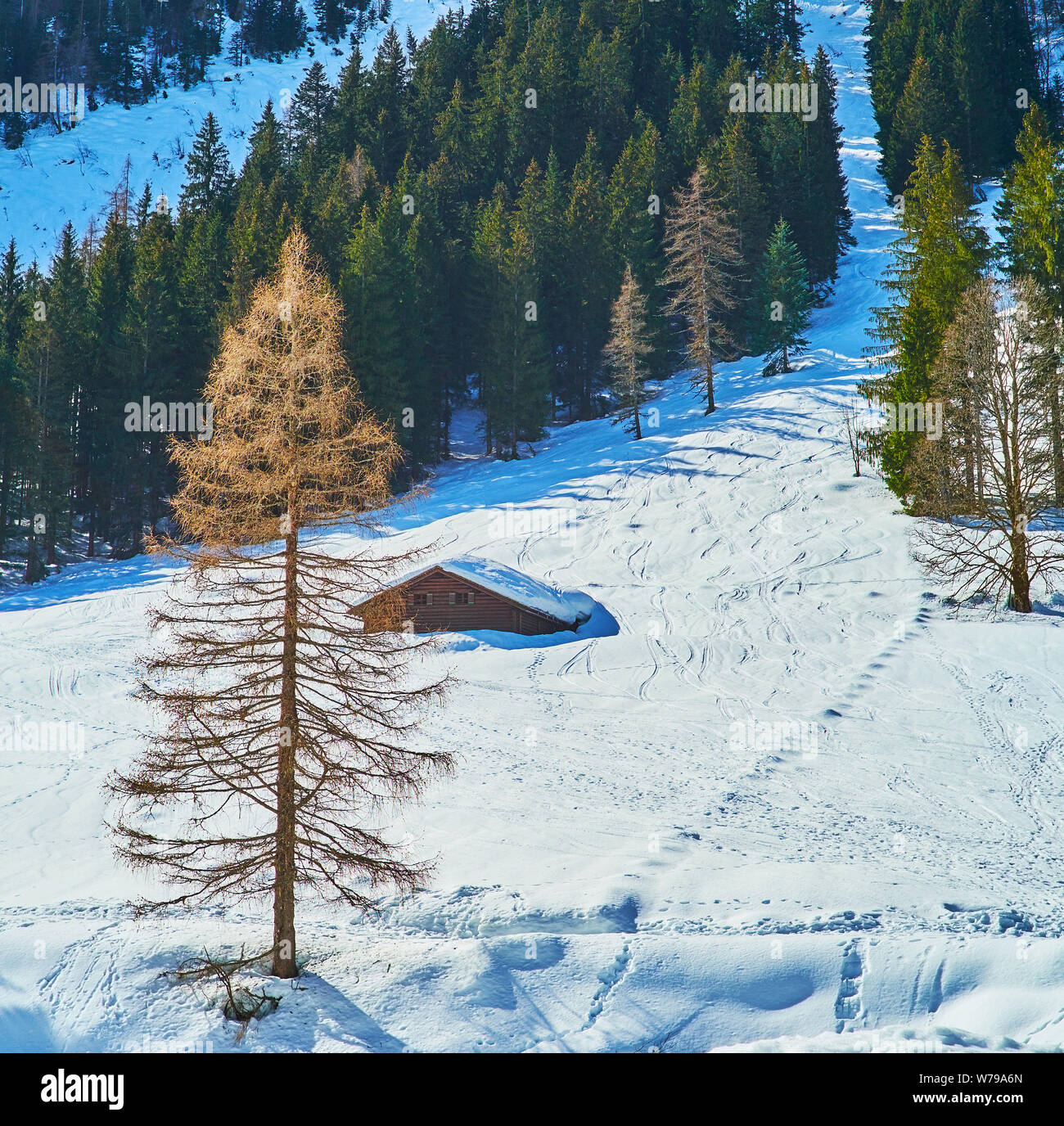 Die verschneite Piste von Donnerkogl Berg mit Blick auf Nadelwald und kleines Holzhaus, unter tiefem Schnee, Gosau, Österreich Stockfoto
