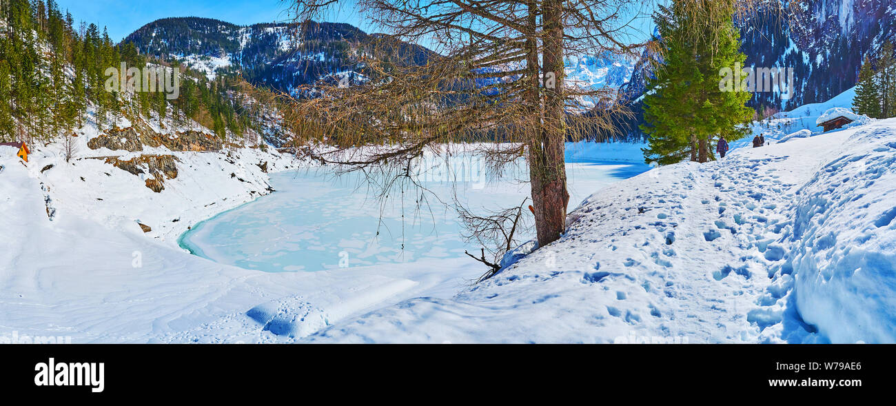 Panoramablick auf Hellblau eisige Oberfläche der Gosausee durch die alte getrocknete Spruce Tree auf den verschneiten Bank, Gosau, Österreich Stockfoto