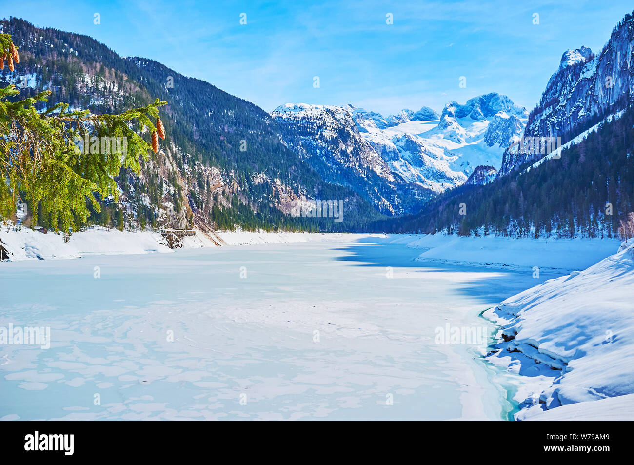 Die Fir Tree Branch mit Kegel vor dem Highland Gosausee, bedeckt mit Schnee und Eis, inmitten der Alpen, Dachstein West Gosau, Salzkammer Stockfoto
