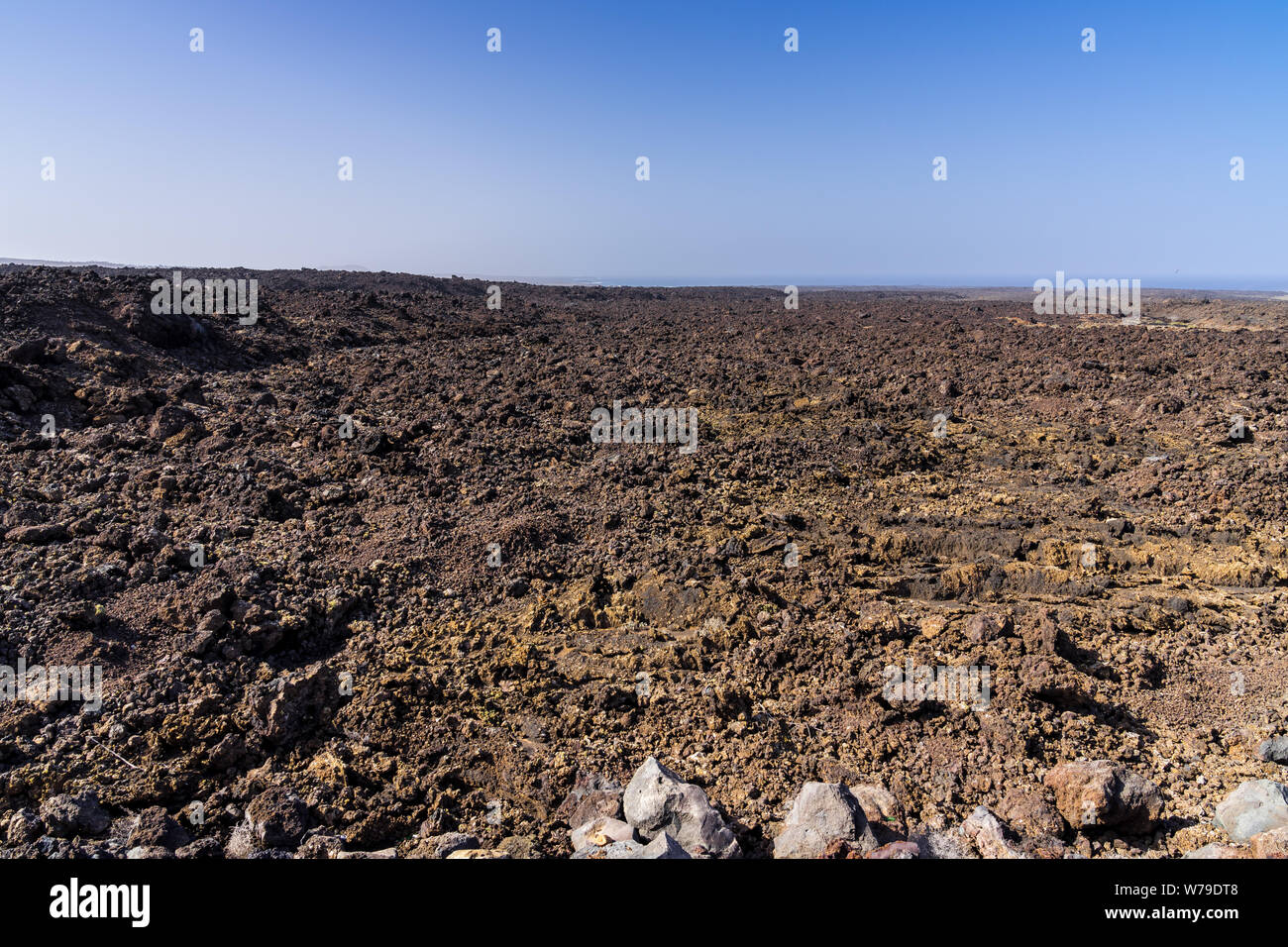 Spanien, Lanzarote, Stinted trocken endlosen schwarzen Lavafeld in der Nähe von Timanfaya Stockfoto