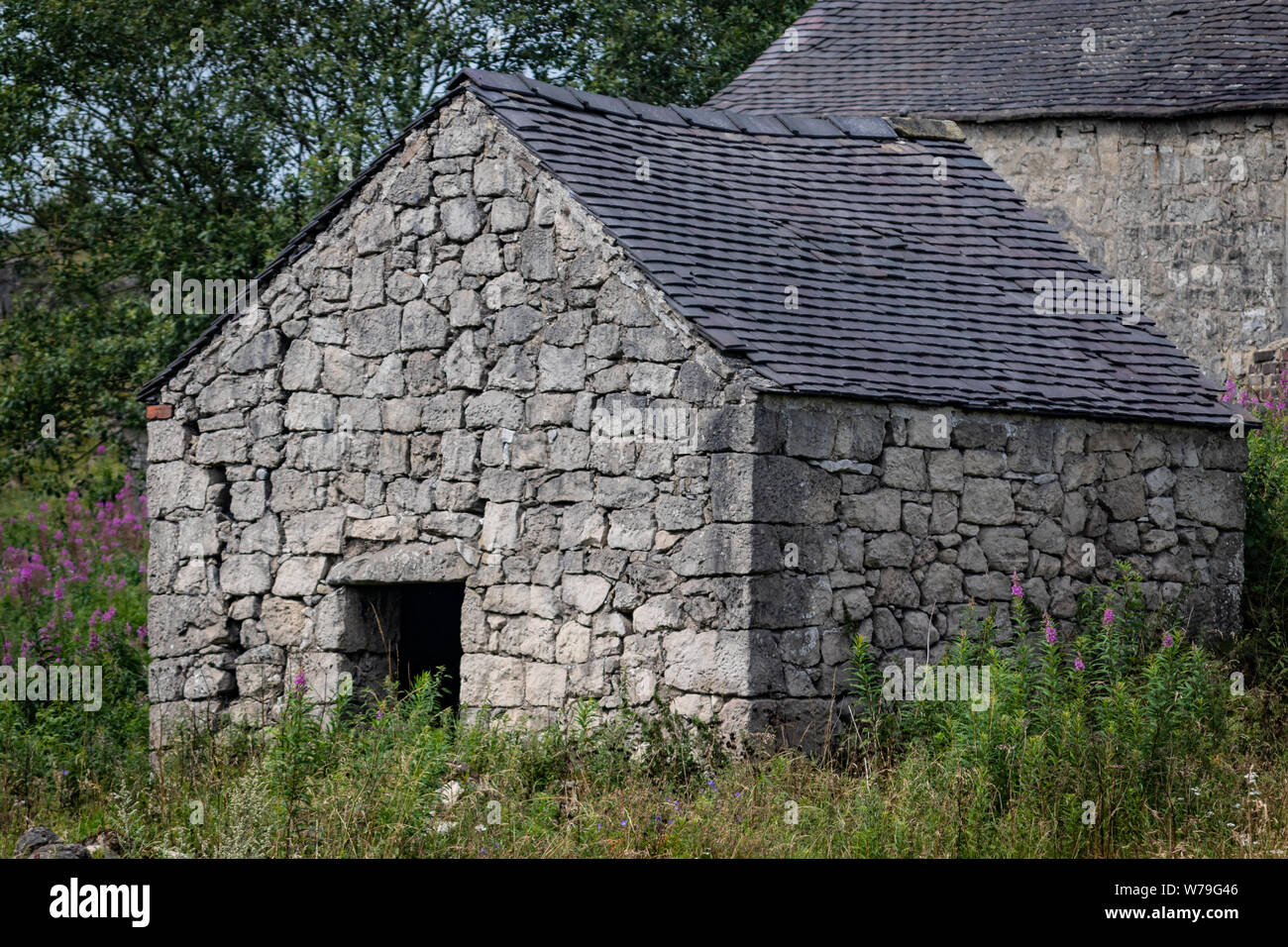Verlassenen baufälligen Gebäude aus Stein, Hütte/Haus und die Nebengebäude auf der High Peak Trail in der Nähe von harboro Felsen, Brassington, Peak District. Derbyshire. DE Stockfoto