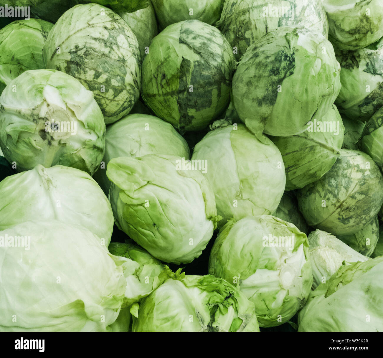 Köpfe der Kohl, Nahaufnahme Stockfoto