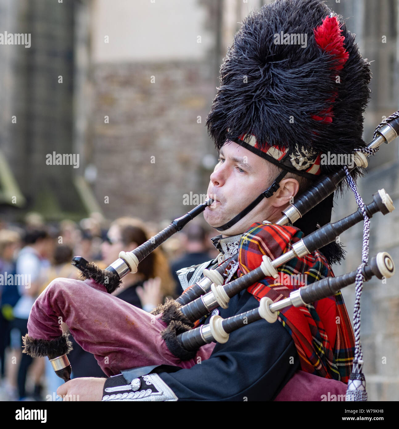 Eine Piper unterhält Passanten in der Nähe von Edinburgh Castle auf der Royal Mile, Edinburgh, Schottland, Großbritannien. Stockfoto