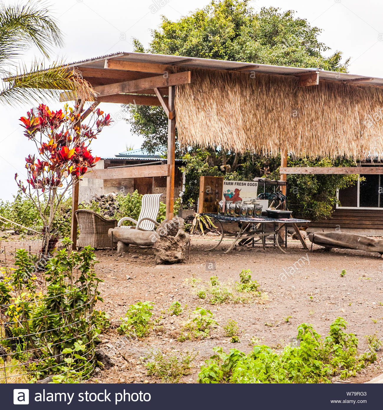 [28+] Traditionelle Hawaiianische Haeuser Zum Verkauf