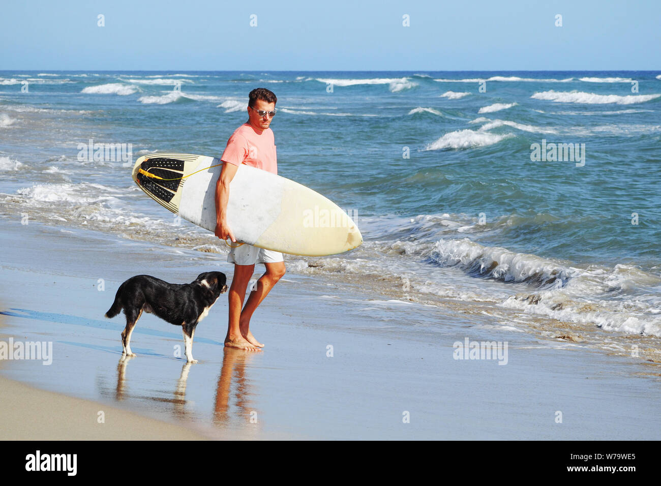 Männliche Surfer am Strand mit einem Hund. Stockfoto