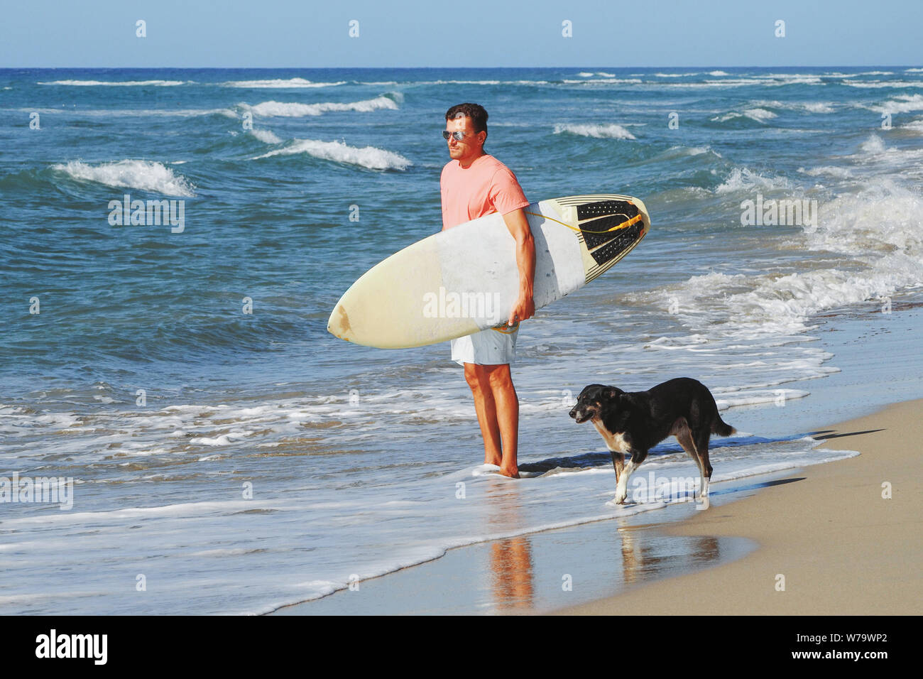 Männliche Surfer am Strand mit einem Hund. Stockfoto