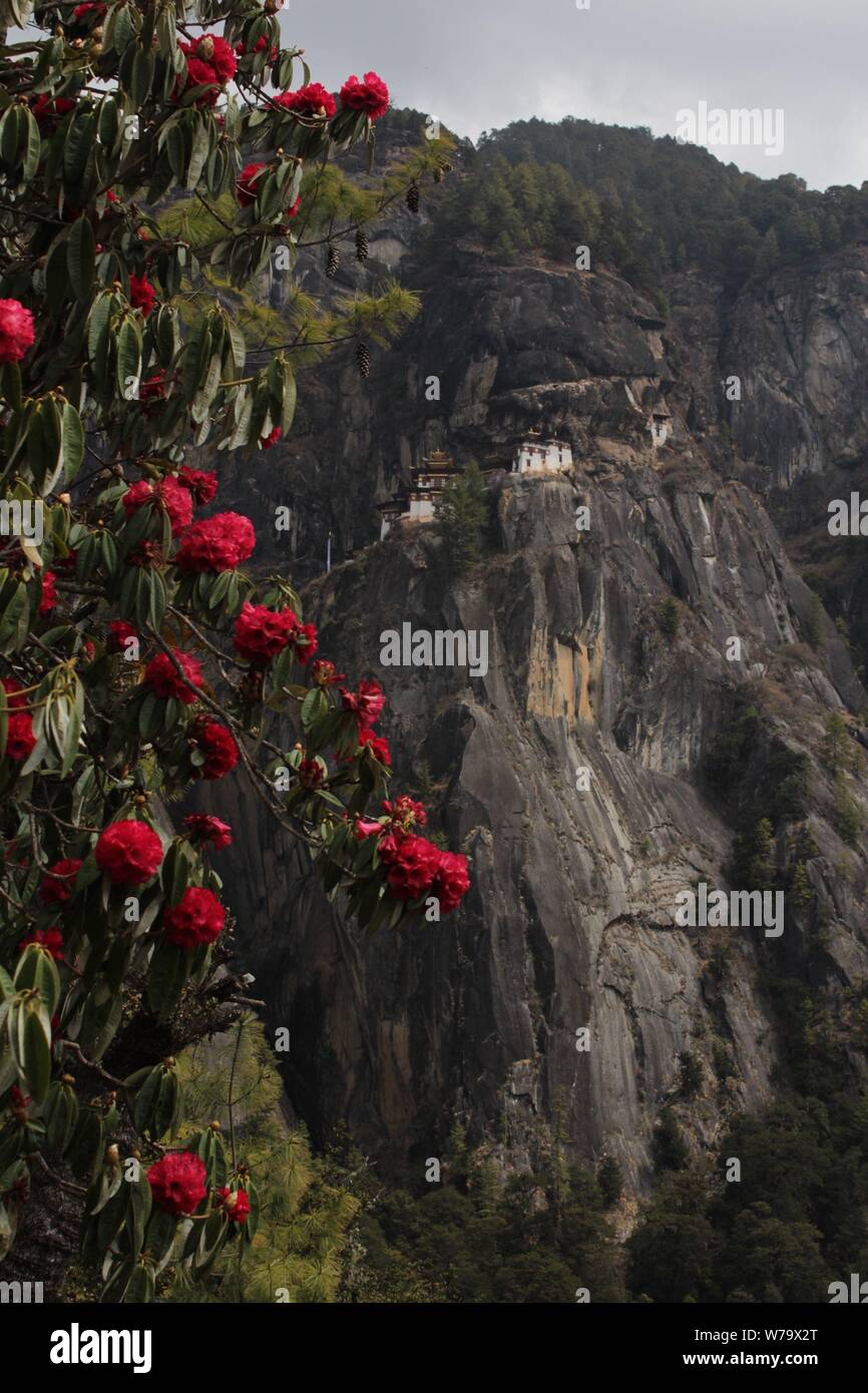 Trekking in Bhutan - der Tiger Nest Kloster Stockfoto