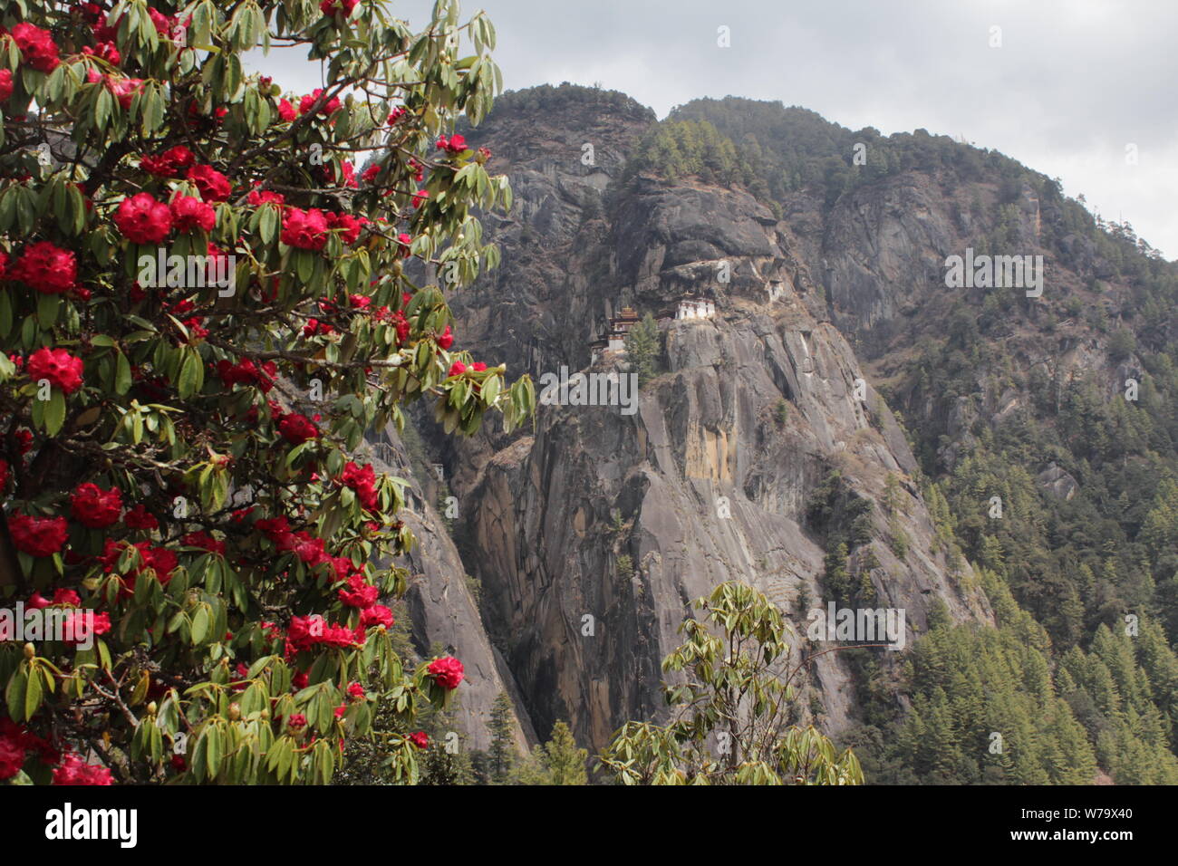 Trekking in Bhutan - der Tiger Nest Kloster Stockfoto