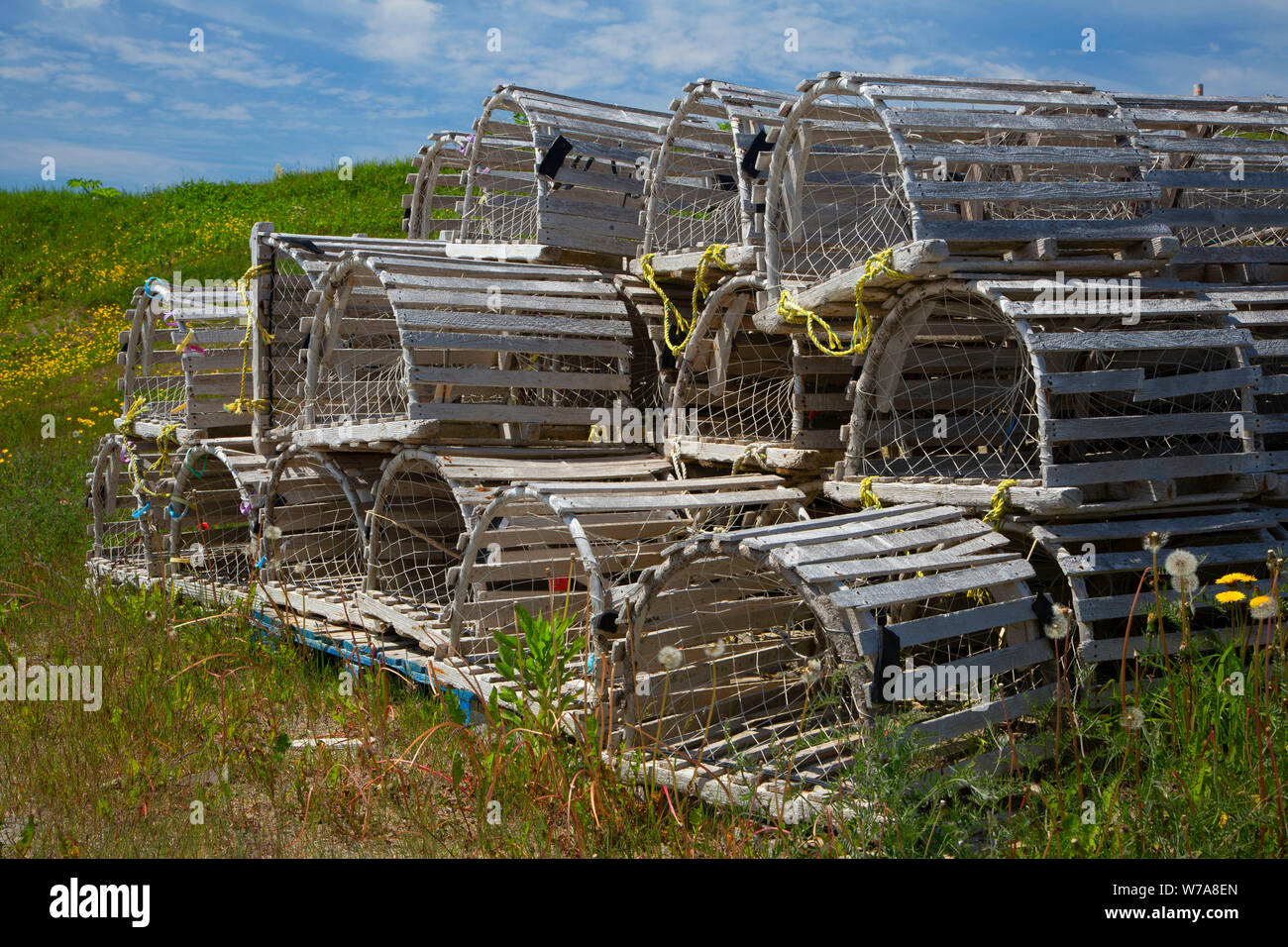 Hummer Töpfe, Kuhkopf, Neufundland und Labrador, Kanada Stockfoto
