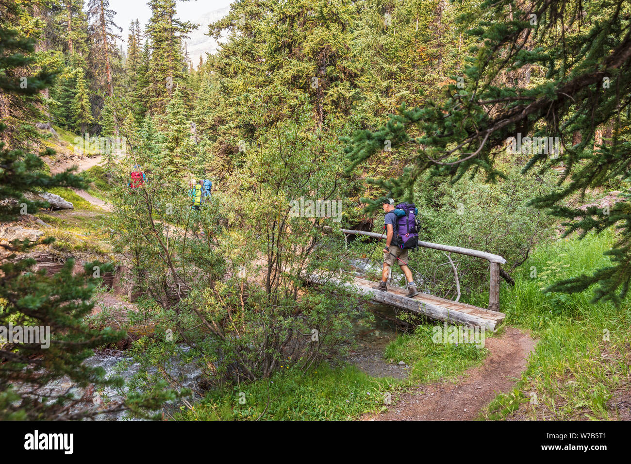 Creek Crossing am Skoki Ski Lodge, einem abgelegenen Hinterland in der Nähe von Lake Louise, Banff National Park, Alberta, Kanada Lodge. Stockfoto