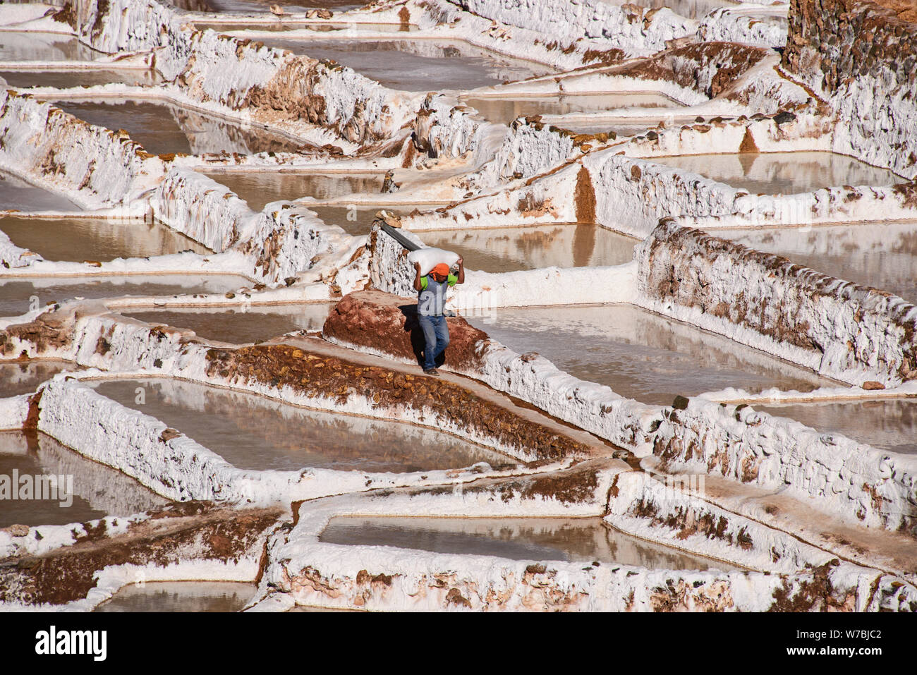 Arbeiter an der Salinen von Maras, das Heilige Tal, Peru Stockfoto