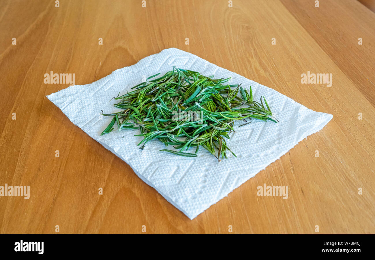 Aromatische frische Rosmarin trocknen auf ein Papiertuch auf ein Hartholz Hintergrund Stockfoto