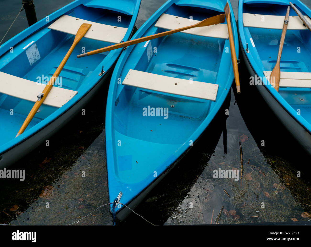 Nahaufnahme horizontale Ansicht von hellen blauen und weißen Ruderboote in dunklen See Wasser mit braunem Holz- Ruder Stockfoto